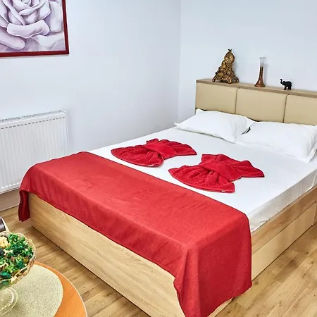 Garsoniera Papaya Apartament